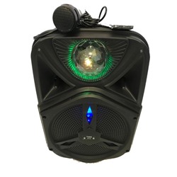 Портативная колонка с микрофоном DG-1002