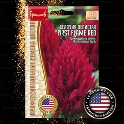 Цв.Целозия Фирст Флейм Ред (First Flame Red) (Григорьев) 4шт