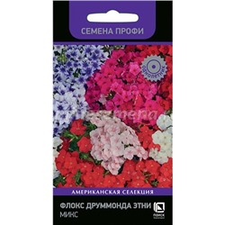 Флокс Этни Микс (П)