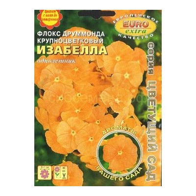 Флокс Изабелла (Аэлита)