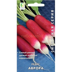 Редис Аврора (П)