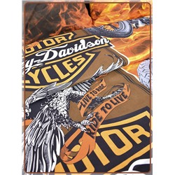 Детское постельное белье поплин артдизайн Байкер