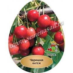 Черешня Фатеж (Поиск) УКС