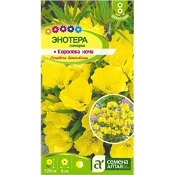 Цв.Энотера Ламарка Королева ночи (Сем.Алтая) 0,1гр