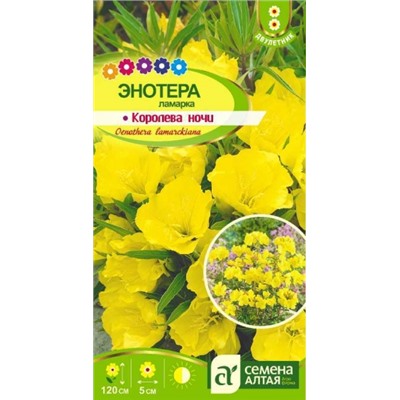Цв.Энотера Ламарка Королева ночи (Сем.Алтая) 0,1гр