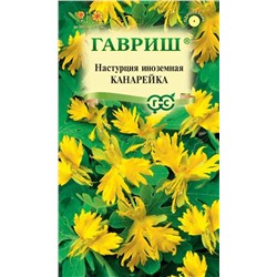 Настурция Канарейка иноземная (Гавр)