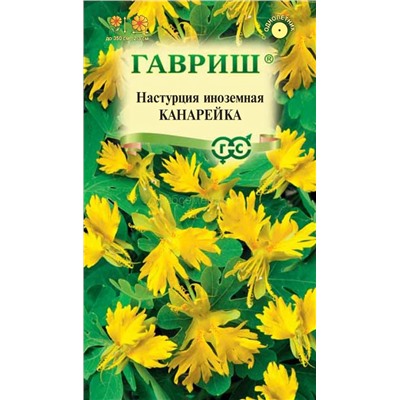 Настурция Канарейка иноземная (Гавр)