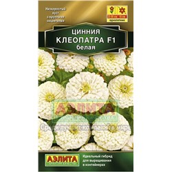 Цинния Клеопатра F1 белая (Аэлита)