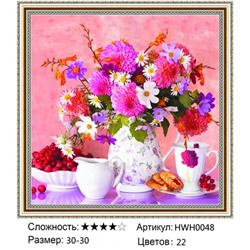 AM33 HWH0048