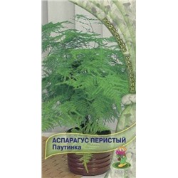 Цв.Аспарагус Паутинка перистый (Поиск) 5шт