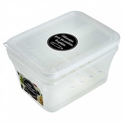 Набор контейнеров для заморозки Honey (2×0,9 л) SE111112545 Вкус лета