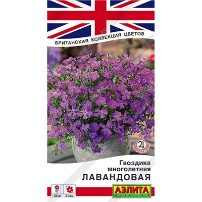 Гвоздика Многолетняя лавандовая (Код: 89516)