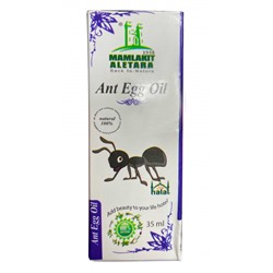 ANT EGG Oil, Mamlakit Aletara (Муравьиное масло для предотвращения роста волос), 35 мл.