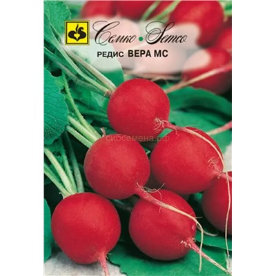 Редис Вера МС (С)
