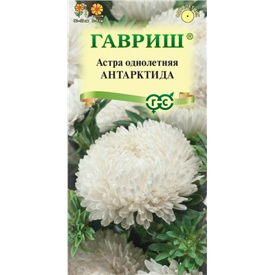 Астра Антарктида (Гавр)