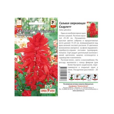 Цв.Сальвия Скарлет (Сем.Алтая) 0,1г