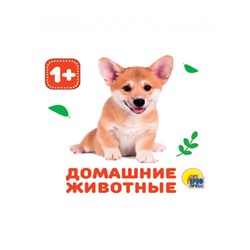 КНИЖКИ НА ПЕНЕ. ДОМАШНИЕ ЖИВОТНЫЕ