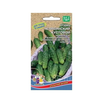 Огурец Челябинский Кустовой (УД) 12шт Симбиоз