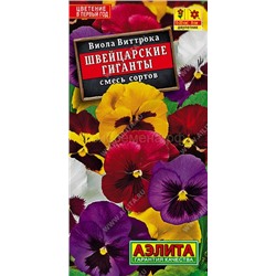 Виола Швейцарские гиганты (Аэлита)