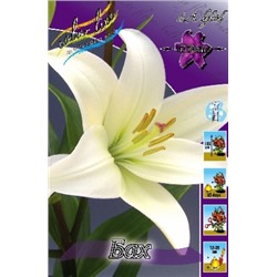 Лилии Бах 7шт (ИС) ЛА