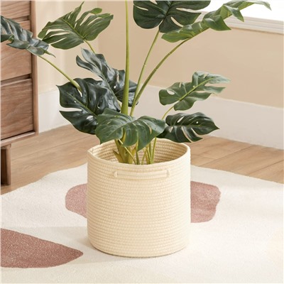 OB-AB-043-Cream