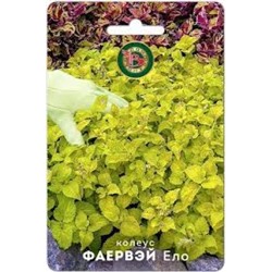 Цв.Колеус Фаервэй Ело (Био) 10шт