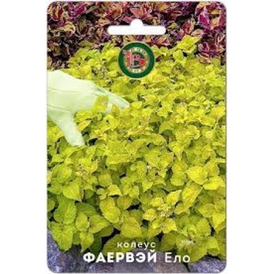 Цв.Колеус Фаервэй Ело (Био) 10шт