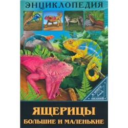 Энциклопедия в мире знаний. Ящерицы большие и маленькие