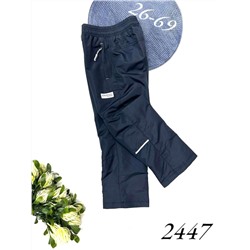 Брюки 2447 синий