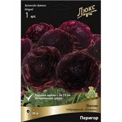 Лютик Романс Перигор 1шт (Поиск)