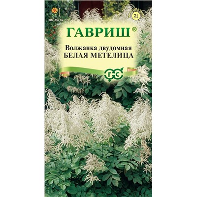 Волжанка двудомная Белая Метелица Мн (Гавр)