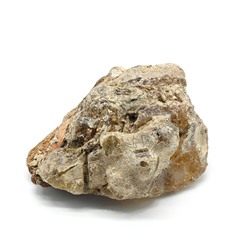 Коллекционный янтарь "Копал" 75*62*36мм, 73,2г