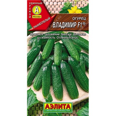 Огурец Владимир F1 (Аэлита)