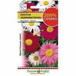 Цв.Пиретрум Малиновые гиганты (НК) 200% 0,4г
