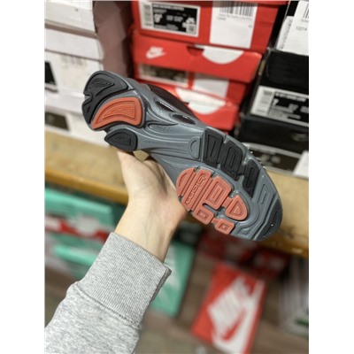 ecco colour description