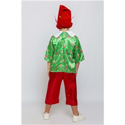 Костюм Гном Вася BATIK #1035296