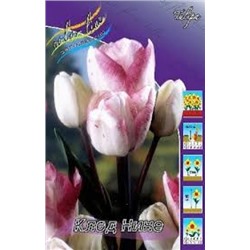 Тюльпан Клод Нине 8шт (ИС)
