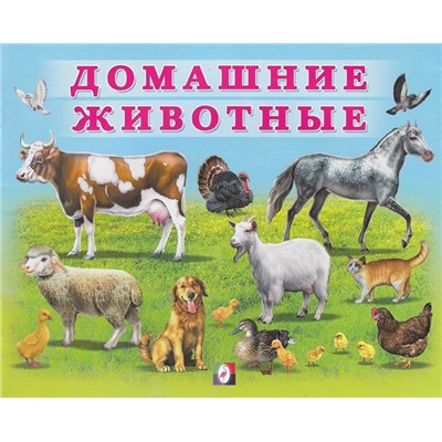 Уч. Учим малыша.  Домашние животные 12 цветн.стр. 20*16см (вып.по 2шт) 29470