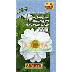 Цв.Георгина Фигаро белая махр. (Аэлита) 7шт