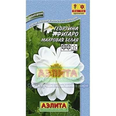 Цв.Георгина Фигаро белая махр. (Аэлита) 7шт