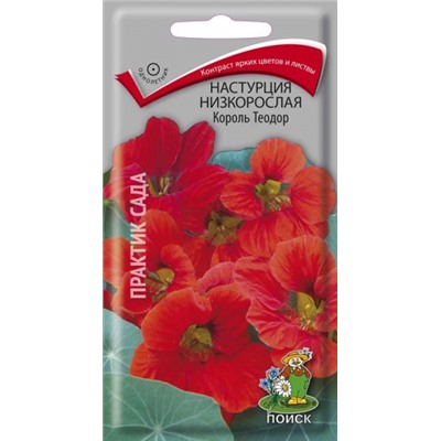 Цв.Настурция Король Теодор низкоросл. (Поиск) 1г