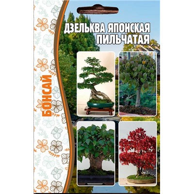 Дзельква японская, Пильчатая (Редкие)