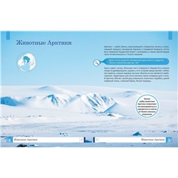 Уценка. Животные: энциклопедия