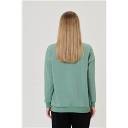 толстовка 3469-20