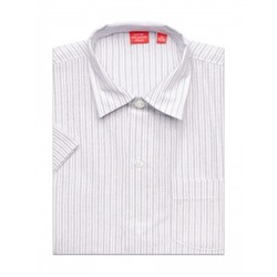 Сорочка дошкольная Imperator Alex 81-K