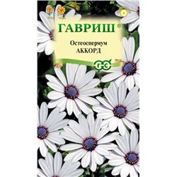Остеоспермум Аккорд (белый) (Гавр)