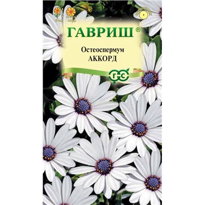 Остеоспермум Аккорд (белый) (Гавр)