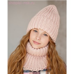 Q 193 D 193 Комплект флис (колпак+снуд) (52-54)