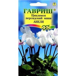 Цв.Цикламен Анели (Гавриш)3шт