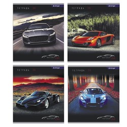 Тетрадь 36 л клетка  Alingar  NATURE CAR 4 дизайна AL10358 (выпис.по 2шт.)